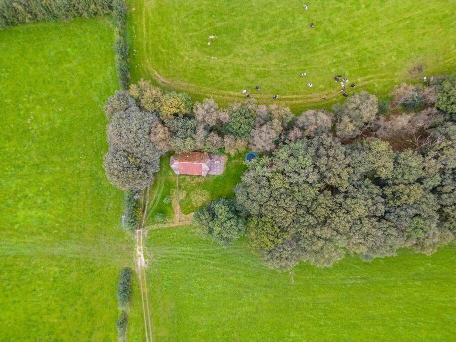 Prachtig Vrijstaand Familiehuis Op Groot Perceel Scherpenzeel  Exterior photo